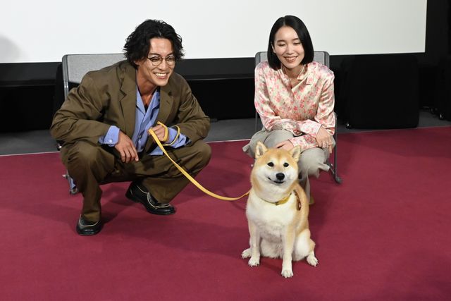 大東駿介＆飯豊まりえ、NHKドラマ10「シバのおきて～われら犬バカ編集部～」完成試写会へ（16枚目）