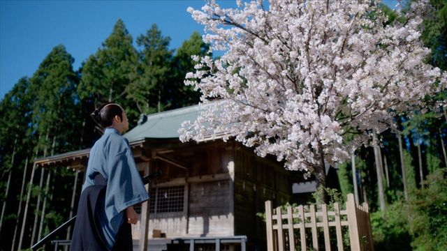 佐野政言（矢本悠馬）が衝撃の凶行へ…「べらぼう」第27回場面写真（15枚目）