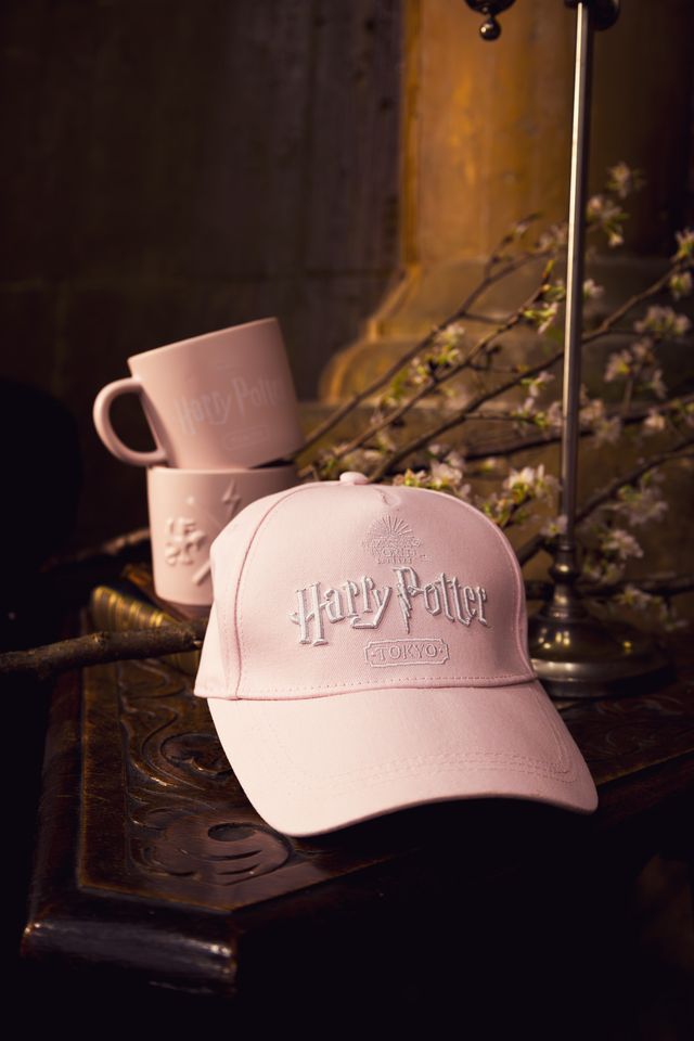 美味しそう！『ハリポタ』すぎる新メニュー続々（8枚目）