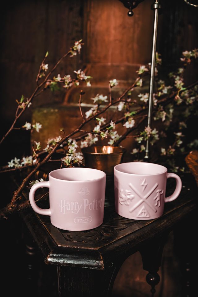 美味しそう！『ハリポタ』すぎる新メニュー続々（11枚目）