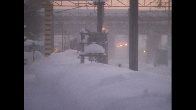 映画『どうすればよかったか？』場面写真＆メインビジュアル（13枚目）