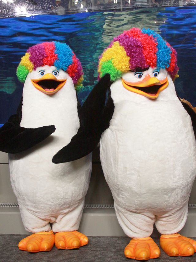 柳沢慎吾＆エリック・ダーネル監督＆キャラクターたちが登場！『マダガスカル3』イベントフォトギャラリー（3枚目）