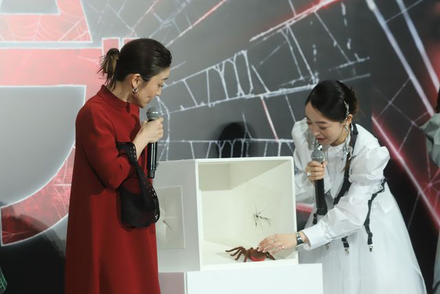 大島優子＆潘めぐみ、13年ぶりの再会！『マダム・ウェブ』日本語吹替版プレミア上映ナイト（15枚目）