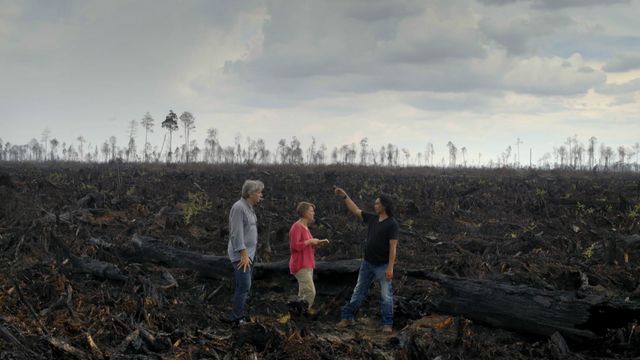 『グリーン・ライ　～エコの嘘～』場面写真（10枚目）