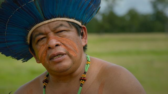 『グリーン・ライ　～エコの嘘～』場面写真（12枚目）