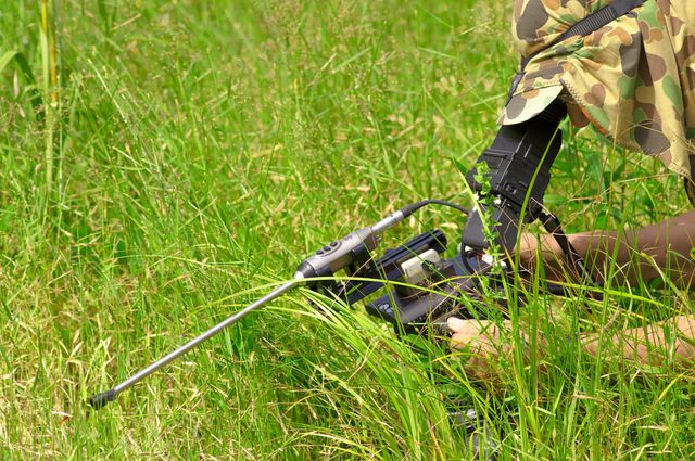 アリ目線で見る世界！『アリのままでいたい』フォトギャラリー（5枚目）