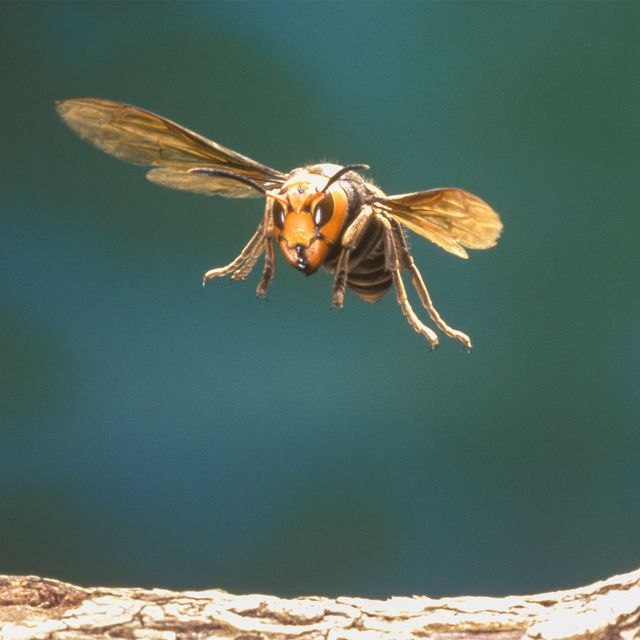 アリ目線で見る世界！『アリのままでいたい』フォトギャラリー（8枚目）