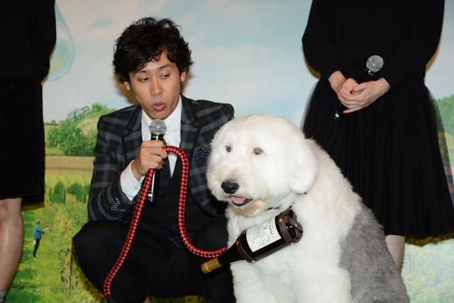 大泉洋、かっこよさで自己ベスト更新！主演映画『ぶどうのなみだ』試写会フォトギャラリー（2枚目）