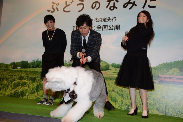 大泉洋、かっこよさで自己ベスト更新！主演映画『ぶどうのなみだ』試写会フォトギャラリー（3枚目）