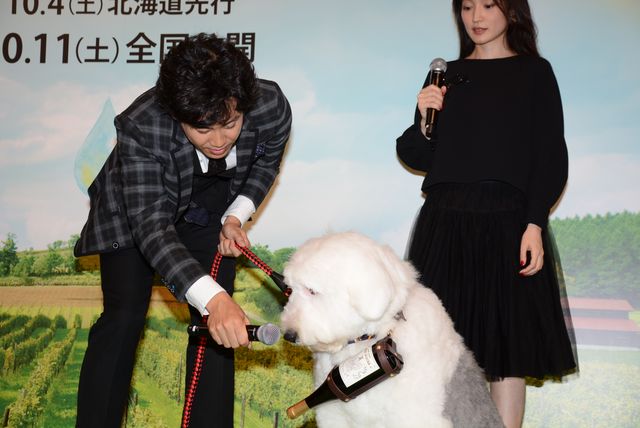 大泉洋、かっこよさで自己ベスト更新！主演映画『ぶどうのなみだ』試写会フォトギャラリー（4枚目）