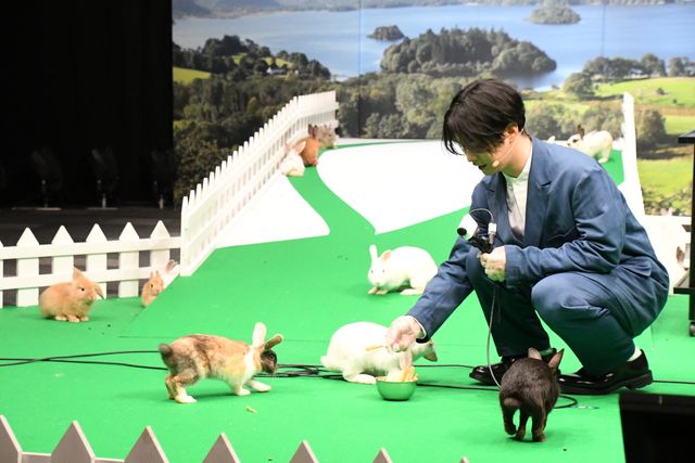 『ピーターラビット2／バーナバスの誘惑』ウサギ“超”まみれイベント（6枚目）