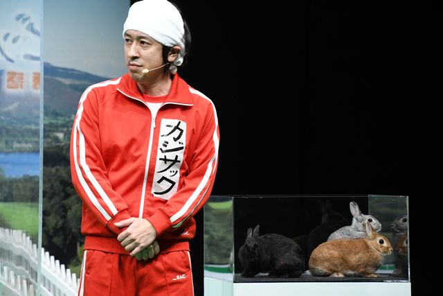 『ピーターラビット2／バーナバスの誘惑』ウサギ“超”まみれイベント（10枚目）