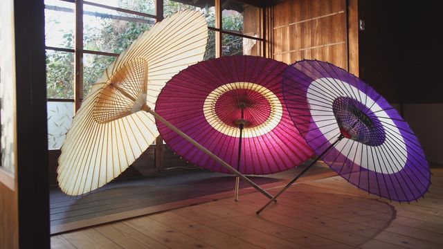 草なぎ剛がMC！「最後の○○～日本のレッドデータ～」（6枚目）