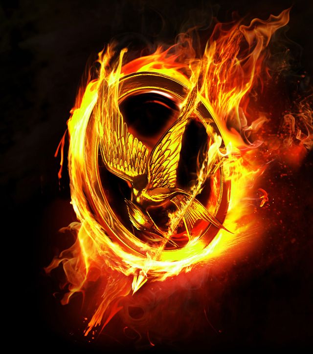 映画『ハンガー・ゲーム』(2012)より