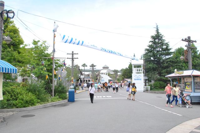 「ワンピース」×USJがコラボ！　フォトギャラリー（51枚目）