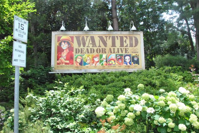 「ワンピース」×USJがコラボ！　フォトギャラリー（61枚目）