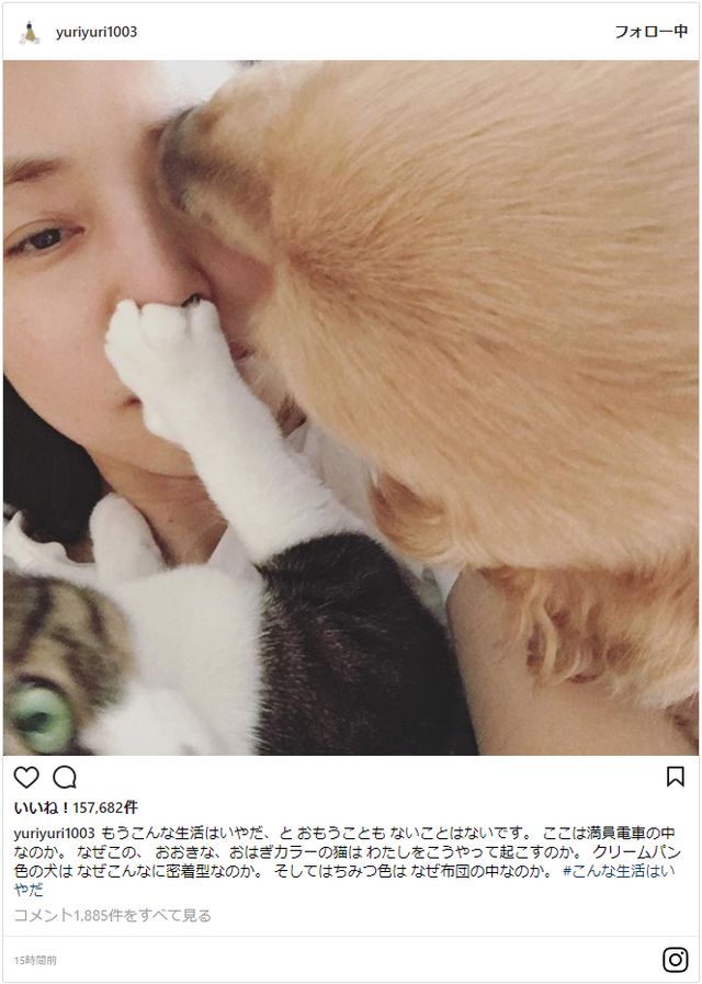 石田ゆり子 踏まれて舐められて 猫犬ぎゅぎゅうの寝起きショットに反響 シネマトゥデイ 映画の情報を毎日更新