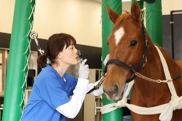 【ネタバレあり】日曜劇場「ザ・ロイヤルファミリー」第9話場面写真（8枚目）