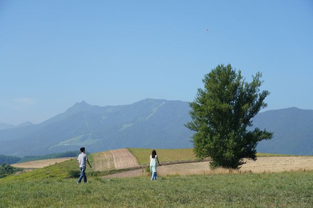 菅田将暉と小松菜奈が見つめ合う…映画『糸』場面カット（5枚目）