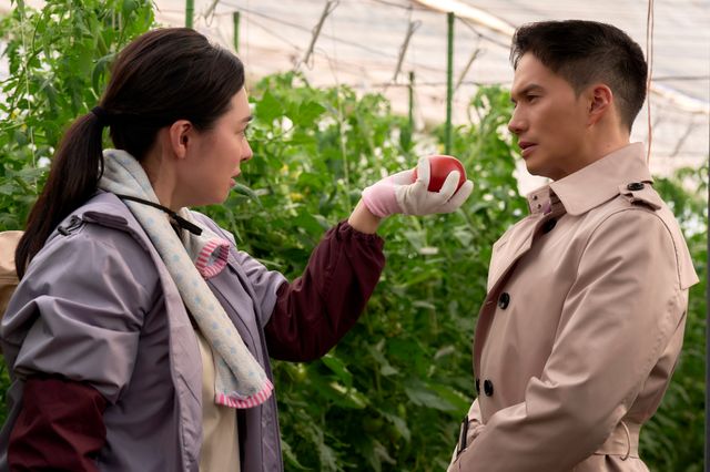 映画『正直不動産』吹石一恵＆岩崎大昇の新場面写真：フォトギャラリー