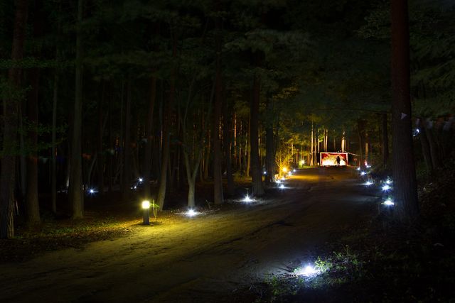 日本初の野外映画フェスを体験！「夜空と交差する森の映画祭 2015」フォトギャラリー（4枚目）