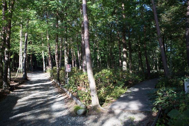 日本初の野外映画フェスを体験！「夜空と交差する森の映画祭 2015」フォトギャラリー（8枚目）