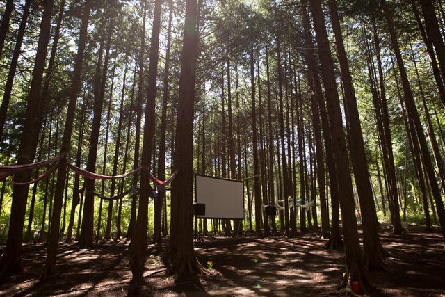 日本初の野外映画フェスを体験！「夜空と交差する森の映画祭 2015」フォトギャラリー（9枚目）