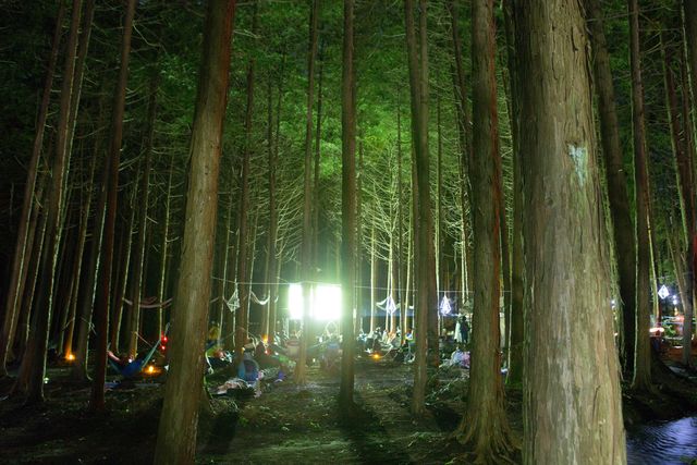日本初の野外映画フェスを体験！「夜空と交差する森の映画祭 2015」フォトギャラリー（27枚目）