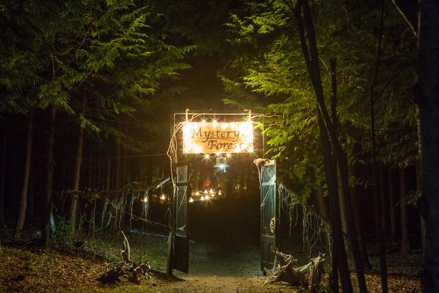 日本初の野外映画フェスを体験！「夜空と交差する森の映画祭 2015」フォトギャラリー（32枚目）