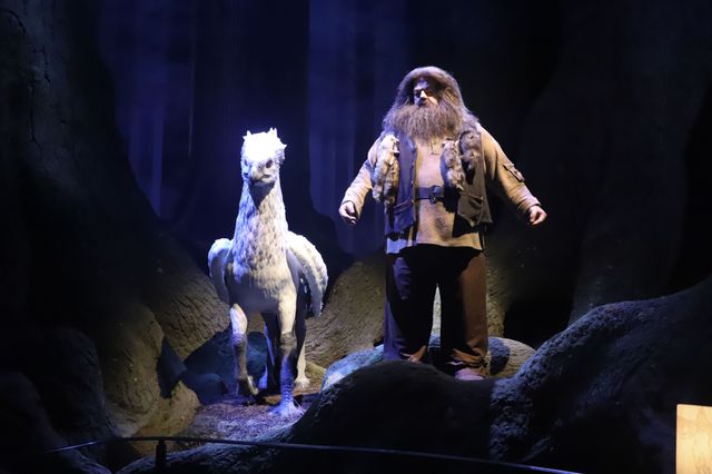 新規エリアの全ぼう！「ワーナー ブラザース スタジオツアー東京 - メイキング・オブ・ハリー・ポッター」より（13枚目）