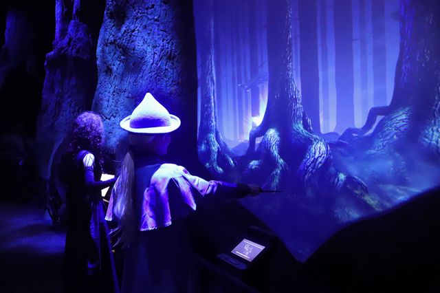 新規エリアの全ぼう！「ワーナー ブラザース スタジオツアー東京 - メイキング・オブ・ハリー・ポッター」より（16枚目）