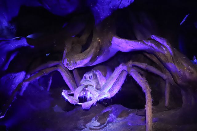 新規エリアの全ぼう！「ワーナー ブラザース スタジオツアー東京 - メイキング・オブ・ハリー・ポッター」より（17枚目）