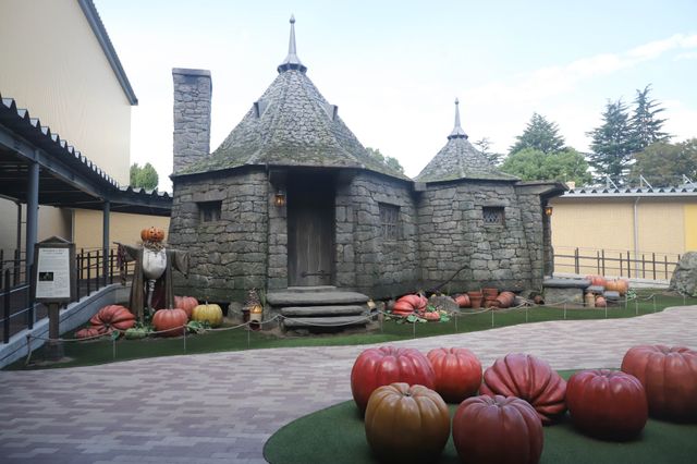 新規エリアの全ぼう！「ワーナー ブラザース スタジオツアー東京 - メイキング・オブ・ハリー・ポッター」より（21枚目）