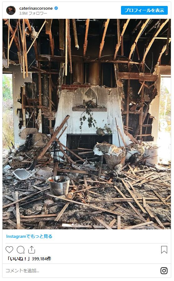 「グレイズ・アナトミー」カテリーナ・スコーソンの子供&ペットたち、そして全焼した自宅:フォトギャラリー