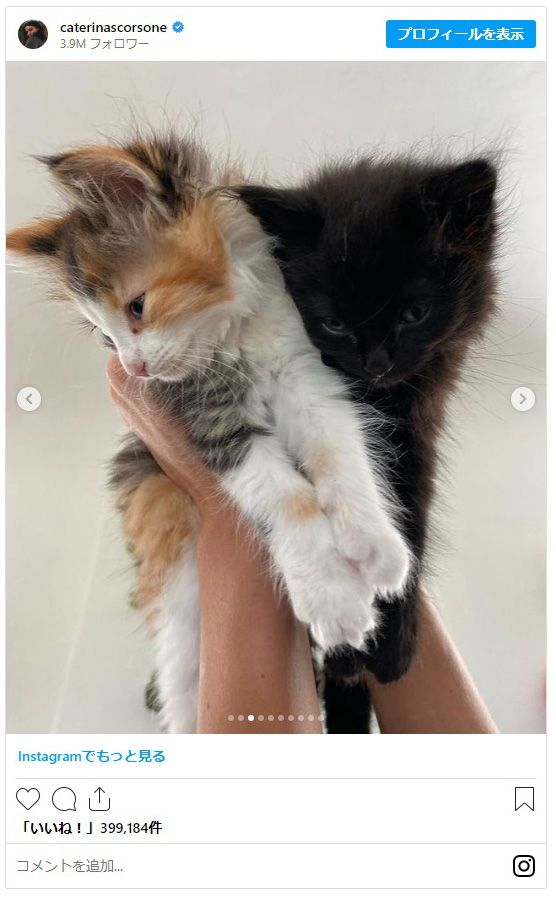 「グレイズ・アナトミー」カテリーナ・スコーソンの子供＆ペットたち、そして全焼した自宅（3枚目）