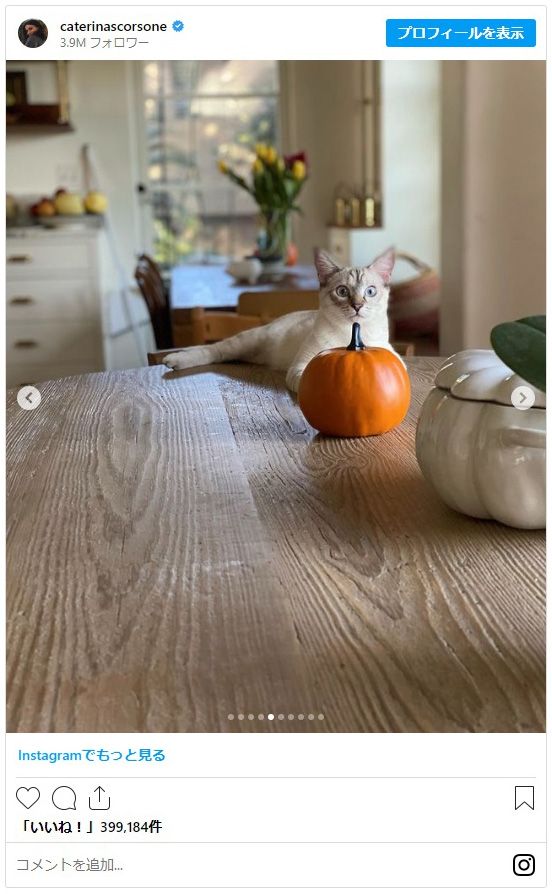 「グレイズ・アナトミー」カテリーナ・スコーソンの子供＆ペットたち、そして全焼した自宅（5枚目）