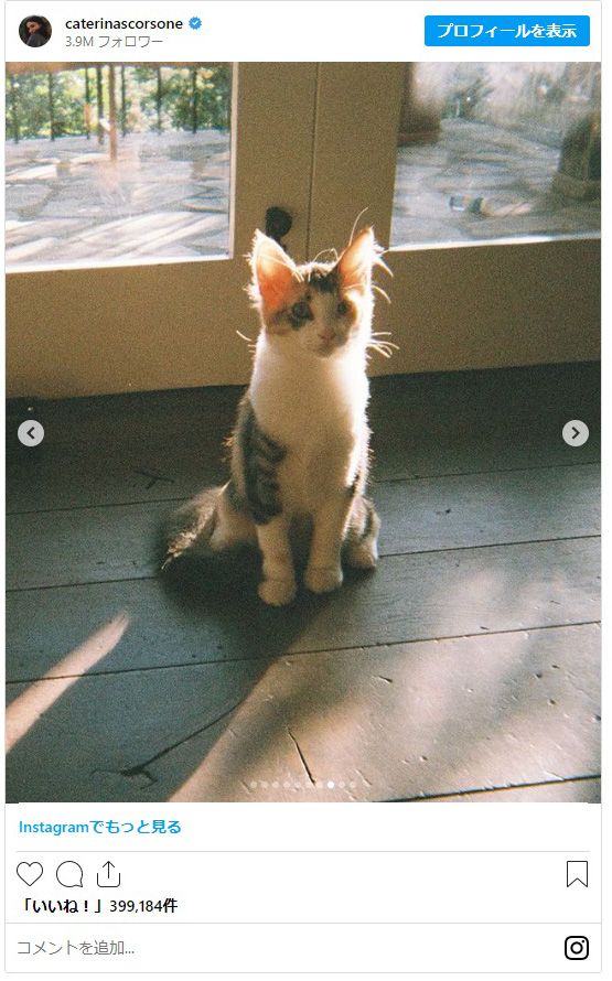 「グレイズ・アナトミー」カテリーナ・スコーソンの子供＆ペットたち、そして全焼した自宅（8枚目）