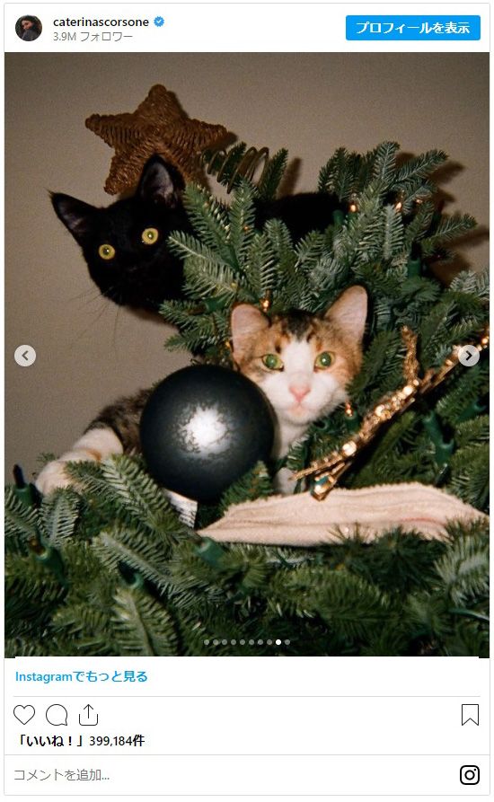 「グレイズ・アナトミー」カテリーナ・スコーソンの子供＆ペットたち、そして全焼した自宅（9枚目）