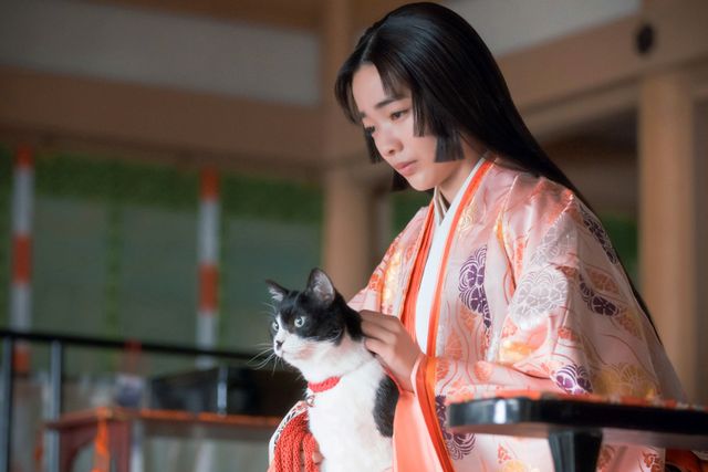 かわいすぎる！「光る君へ」新たな猫・小鞠登場（4枚目）