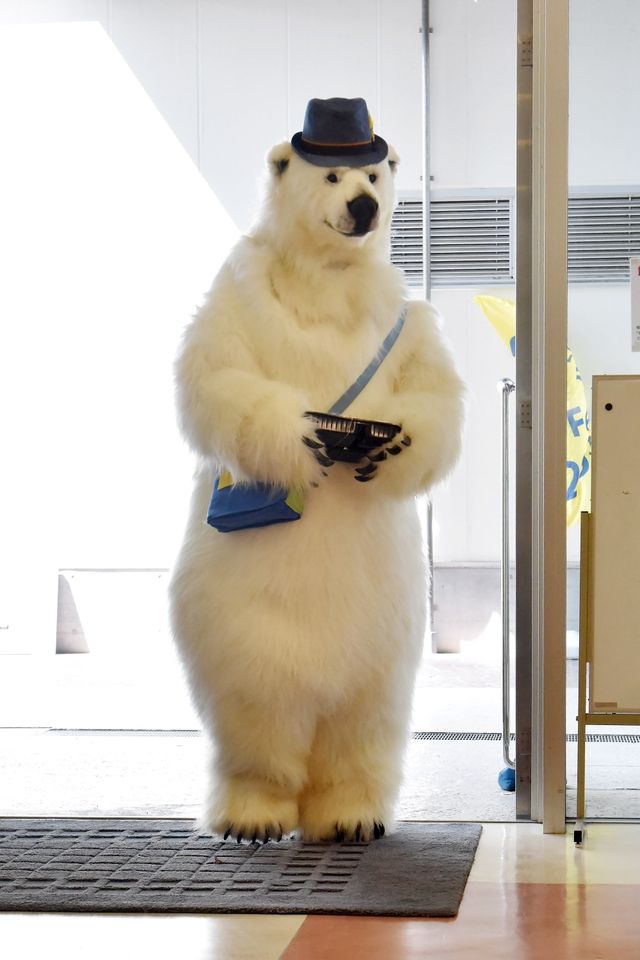 吉沢亮、新ドラマでイケメン王子役に「サバイバル・ウェディング」（3枚目）