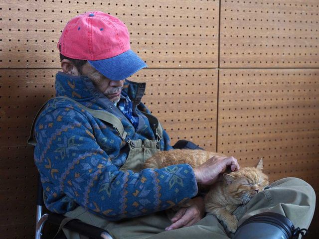 小林薫と“にゃんけい”の2ショット！映画『ねことじいちゃん』オフショット（2枚目）