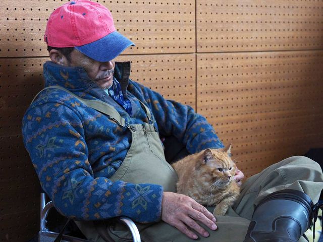 小林薫と“にゃんけい”の2ショット！映画『ねことじいちゃん』オフショット（3枚目）