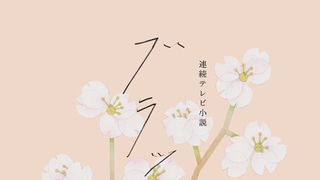 朝ドラ「ブラッサム」スタート！冒頭で松田聖子の「チェリーブラッサム」が使われた理由は？