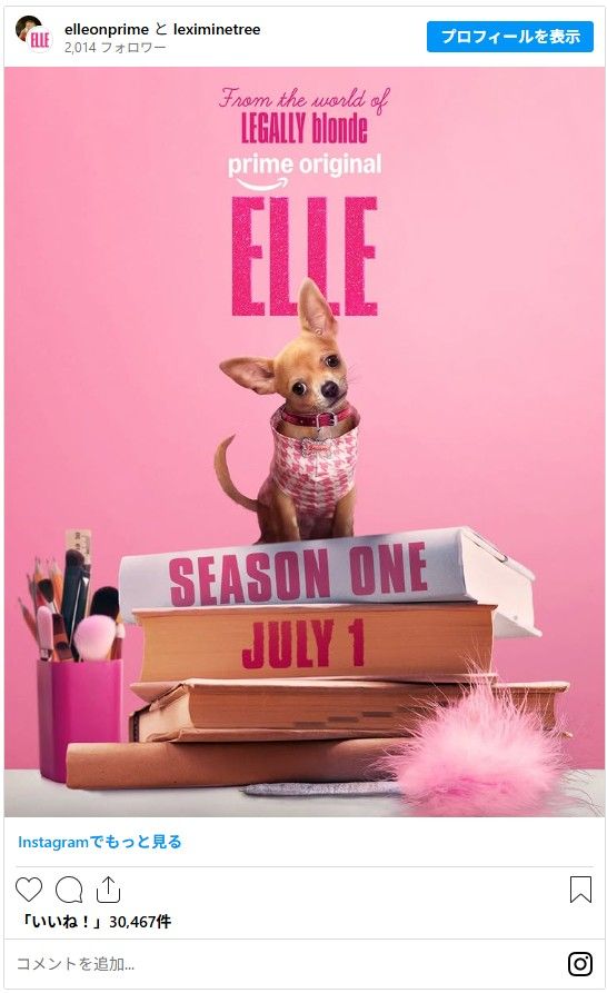 画像は「エル（原題）」Instagramのスクリーンショット