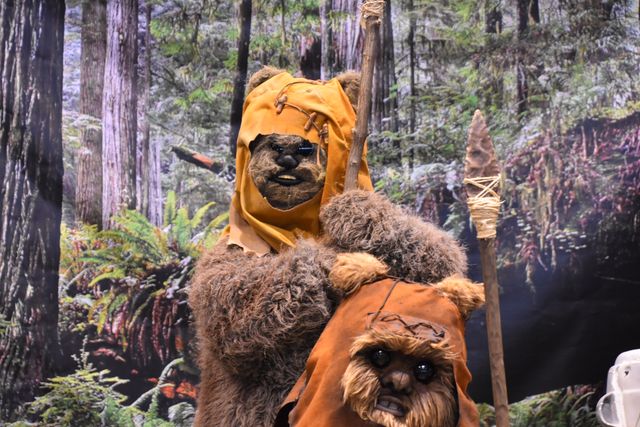 みんなスター・ウォーズ！「スター・ウォーズ セレブレーション・シカゴ2019」（4枚目）