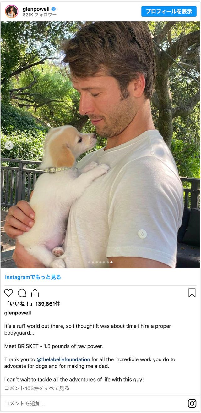 癒される…グレン・パウエルと愛犬ブリスケットの2ショット：フォトギャラリー