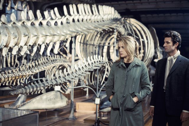 ドストエフスキー×ロベール・ブレッソン『やさしい女　デジタル・リマスター版』（3枚目）