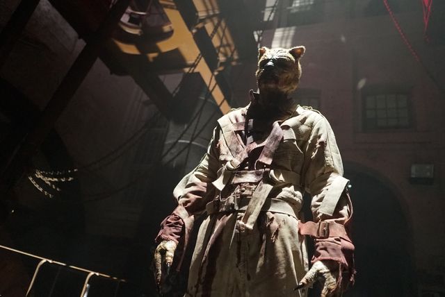 ホラー版プーさん再び『プー2　あくまのくまさんとじゃあくななかまたち』場面写真（2枚目）