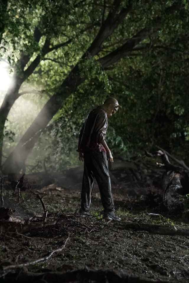 ホラー版プーさん再び『プー2　あくまのくまさんとじゃあくななかまたち』場面写真（3枚目）