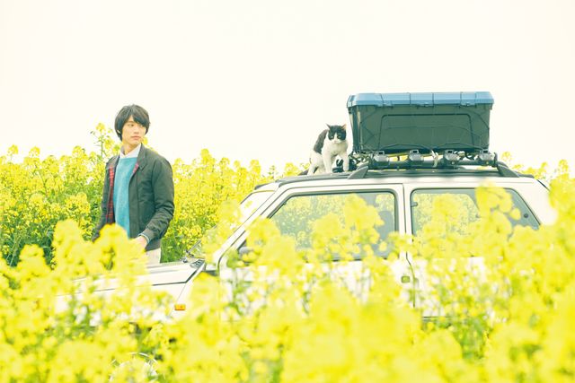 福士蒼汰のあったかい表情『旅猫リポート』場面写真：フォトギャラリー